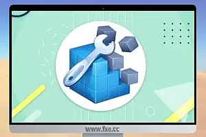 Wise Registry Cleaner X Pro v10.8.2.703 便携版