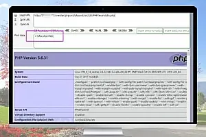 TPshop商城 Getshell后门文件分析与复现