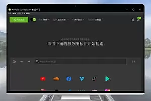 4K Video Downloader Plus+ v1.4.3.0060 绿色便携版