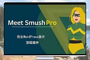 WP Smush Pro v3.15.4:优化WordPress图片的顶级插件