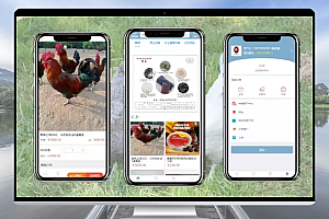 九星微商 分销分红商城 php源码
