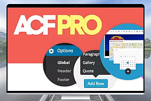 Advanced Custom Fields Pro v6.2.1 提升你的WordPress网站开发体验