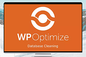 WP-Optimize Premium v3.2.20：让您的WordPress网站快速高效