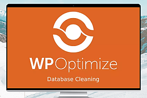 WP-Optimize Premium v3.2.20:让您的WordPress网站快速高效