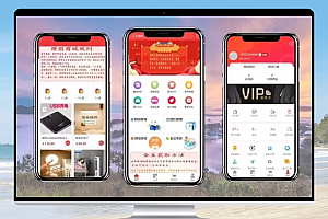 即拼商城+拼团返利商城二合一源码