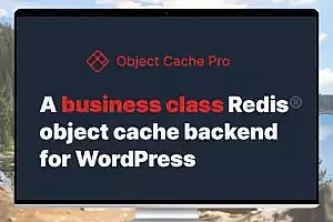 Redis Cache Pro v1.20.2：提升WordPress性能的利器插件