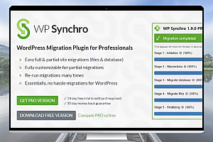 WP Synchro Pro v1.11.2：简化WordPress迁移的专业插件