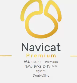 Navicat Premium 16 下载与安装破解教程（详细教程）